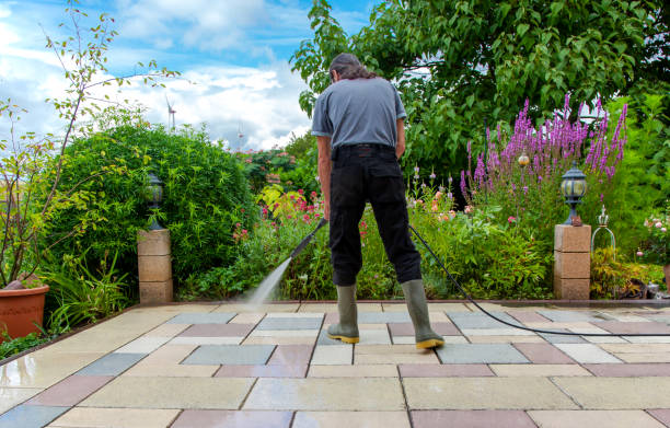 Best Animal Enclosure Cleaning  in Lake Como, NJ